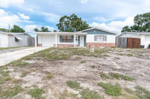 4223 Moog Road, Holiday FL - photo 19 of 28