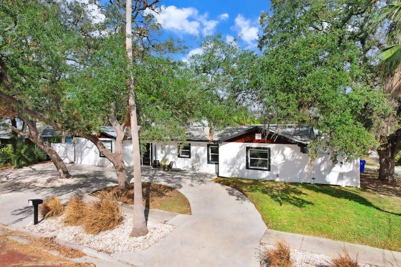 3 bedroom Single Family Residence at 530 Locklie Street, Highland Park Hellers, Dunedin — photo 3