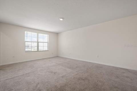 5280 Fiddle Fig Avenue, Wimauma FL - photo 21 of 43