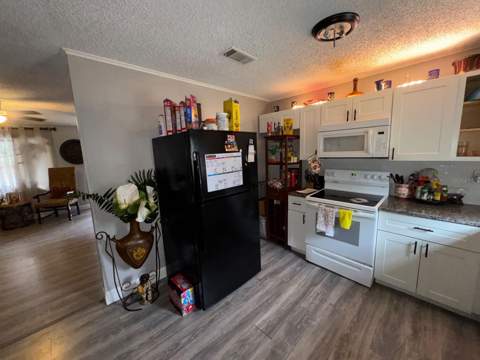 14209 Tennessee Avenue, Astatula FL - photo 18 of 42
