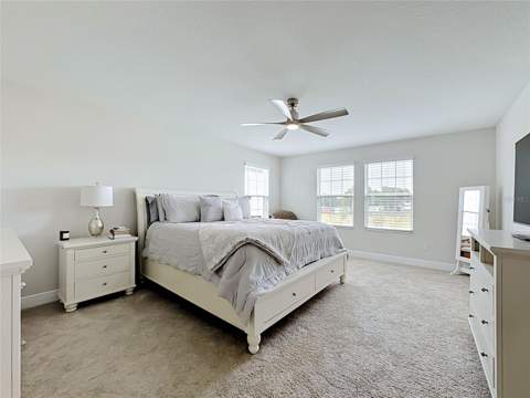 13150 Wellspring Drive, Lithia FL - photo 24 of 36