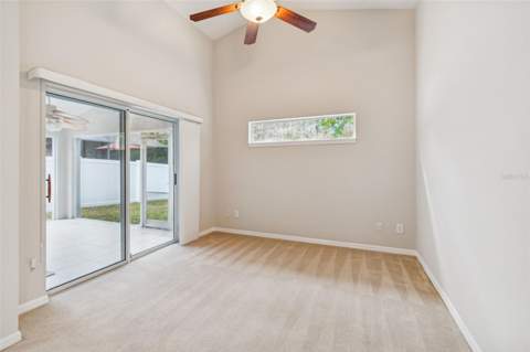 353 Bay Arbor Boulevard, Oldsmar FL - photo 19 of 29