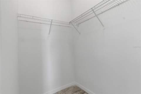 3702 Wiggins Leaf Street, Tampa FL - photo 13 of 23