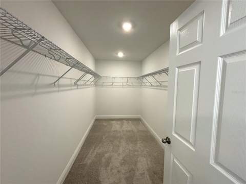 7252 Rolling Leaf Road, Groveland FL - photo 12 of 20