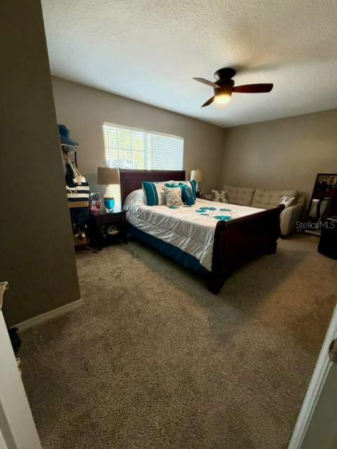 8210 Mackinaw Road, Weeki Wachee FL - photo 24 of 63