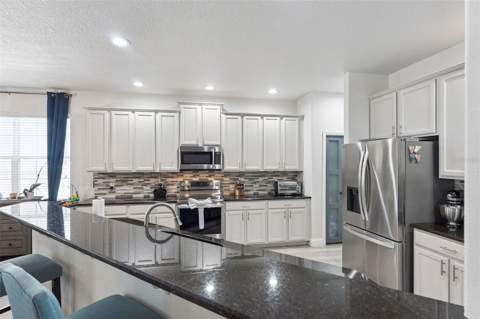 9528 Piccadilly Sky Way, Orlando FL - photo 23 of 59