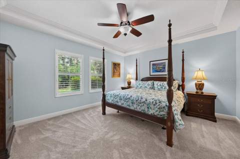 9145 Warm Springs Circle, Parrish FL - photo 22 of 69