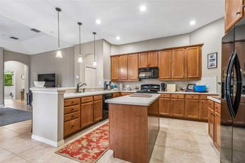 23305 Gracewood Circle, Land O Lakes FL - photo 15 of 72