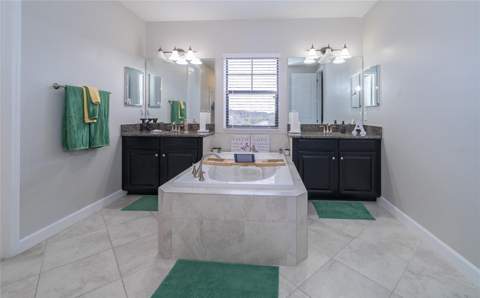 8099 Lago Mist Way, Wesley Chapel FL - photo 23 of 56