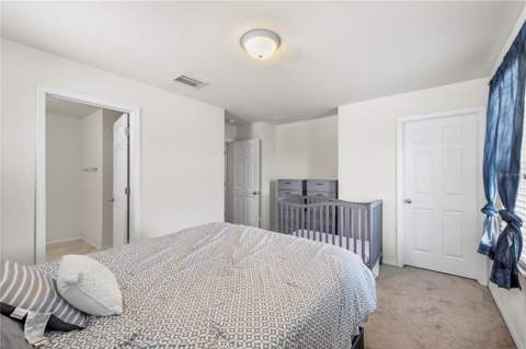 9335 American Hickory Lane, Riverview FL - photo 14 of 44