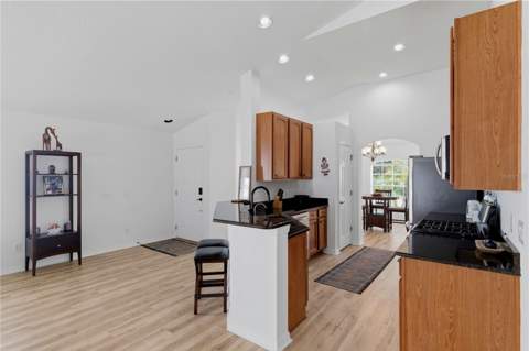 19406 Sunset Bay Drive, Land O Lakes FL - photo 9 of 48