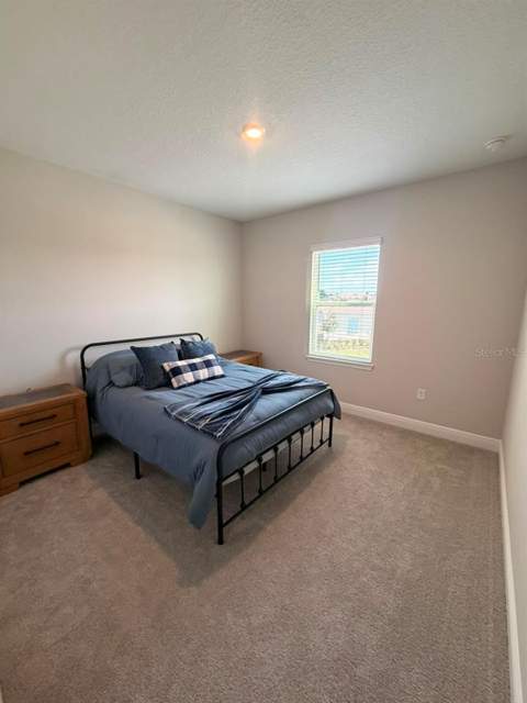 16968 Hamlin Oasis Loop, Winter Garden FL - photo 23 of 35