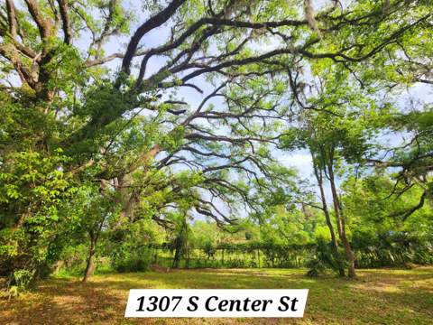 1124 S Orange Street, Perry FL - photo 21 of 43
