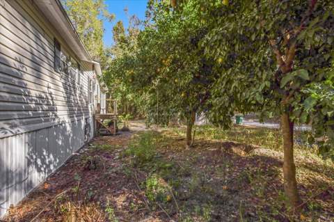 728 Sir Richard Road, Tallahassee FL - photo 7 of 47