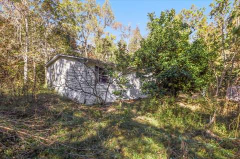 728 Sir Richard Road, Tallahassee FL - photo 8 of 47