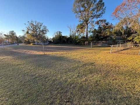 277 SE Woodlawn Street, Madison FL - photo 10 of 51