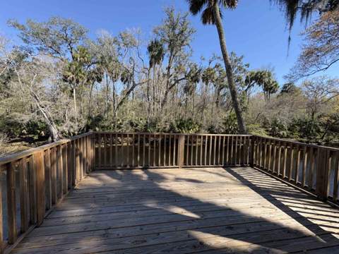 1714 NE River Road, Steinhatchee FL - photo 18 of 21