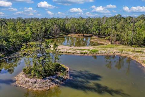 0 NW Roys Road, Steinhatchee FL - photo 13 of 70
