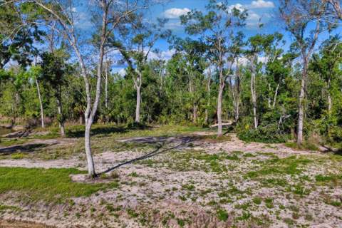 0 NW Roys Road, Steinhatchee FL - photo 15 of 70
