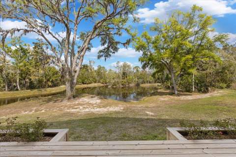 0 NW Roys Road, Steinhatchee FL - photo 19 of 70