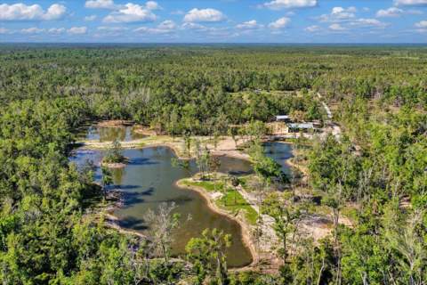 0 NW Roys Road, Steinhatchee FL - photo 6 of 70