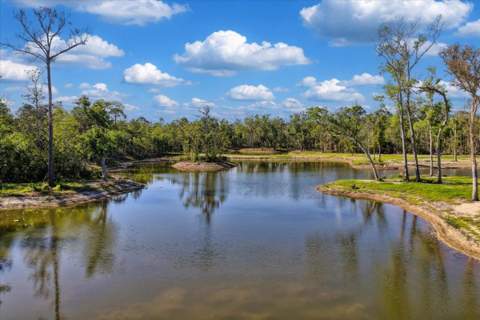 0 NW Roys Road, Steinhatchee FL - photo 8 of 70