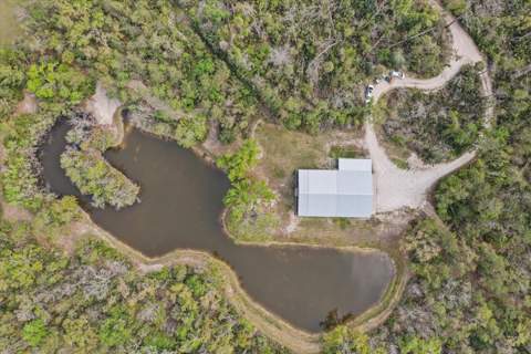0 NW Roys Road, Steinhatchee FL - photo 9 of 70