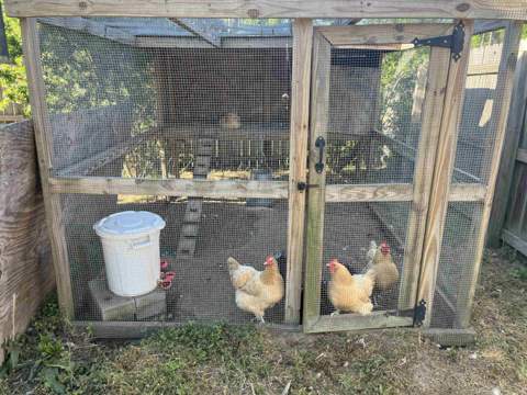 63 Mohave Road, Crawfordville FL - photo 24 of 26