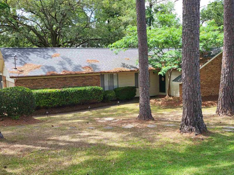 3 bedroom Detached at 1106 Victory Garden Drive, Victory Garden, Tallahassee — photo 2