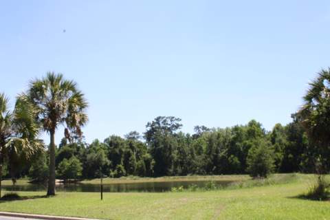 3317 Sawtooth Drive, Tallahassee FL - photo 22 of 24