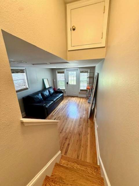 1485 Spruce Avenue, Tallahassee FL - photo 11 of 34