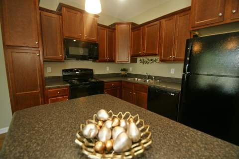 1943 Ann Arbor Avenue, Tallahassee FL - photo 10 of 36
