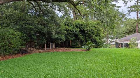 1124 Winifred Drive, Tallahassee FL - photo 10 of 33