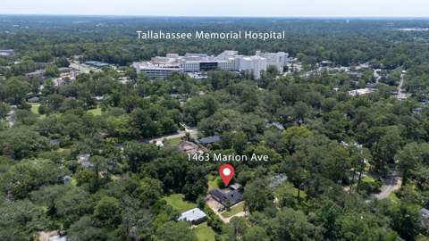 1463 Marion Avenue, Tallahassee FL - photo 9 of 12