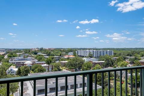 300 S Duval #809 Street, Tallahassee FL - photo 19 of 35