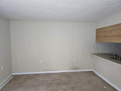 317 Mabry Street, Tallahassee FL - photo 7 of 23