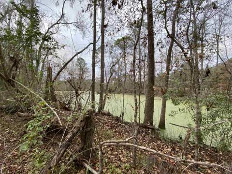 2664 A W Washington Highway, Monticello FL - photo 10 of 23