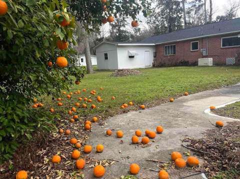 2664 W Washington Highway, Monticello FL - photo 6 of 34