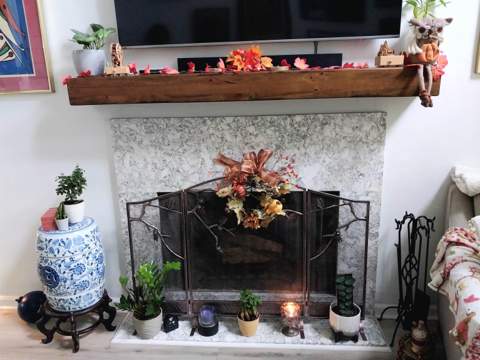 2949 Shamrock Street, Tallahassee FL - photo 21 of 24