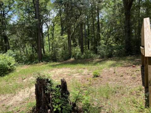 8043 Baby Farm Drive, Tallahassee FL - photo 15 of 32