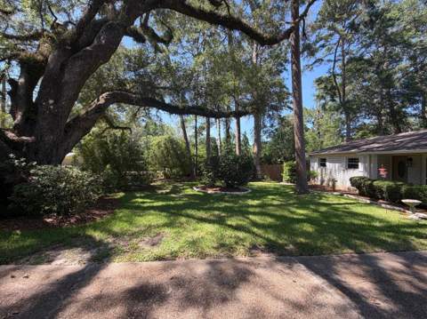 1111 Pinecrest Drive, Tallahassee FL - photo 7 of 36