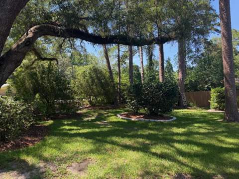 1111 Pinecrest Drive, Tallahassee FL - photo 8 of 36