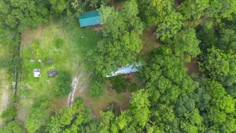 8207 Meridale Drive, Tallahassee FL - photo 6 of 32