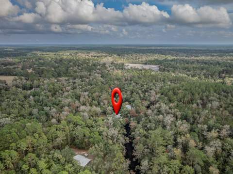 60 Lizard Lane, Sopchoppy FL - photo 6 of 59