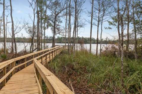 29 Gibson Road, Sopchoppy FL - photo 19 of 70
