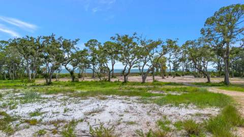 4546 Palms Way, St Teresa FL - photo 17 of 19