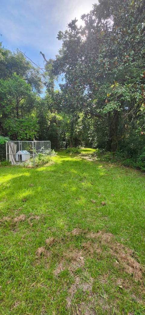 2330 Clara Street, Tallahassee FL - photo 13 of 17