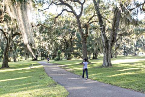 4089 Four Oaks Boulevard, Tallahassee FL - photo 21 of 70