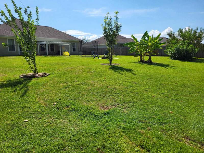 4 bedroom Detached at 28 Manchester Drive, Chadwick Estates Ph1, Crawfordville — photo 4