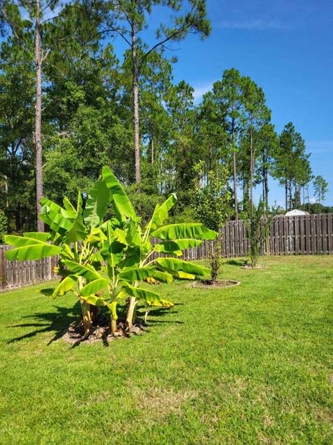 28 Manchester Drive, Crawfordville FL - photo 7 of 9